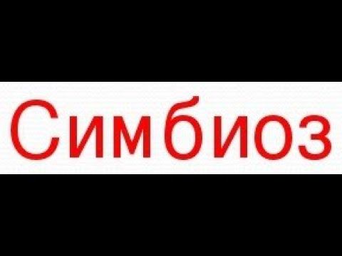В чём сила симбиоза? смотреть онлайн