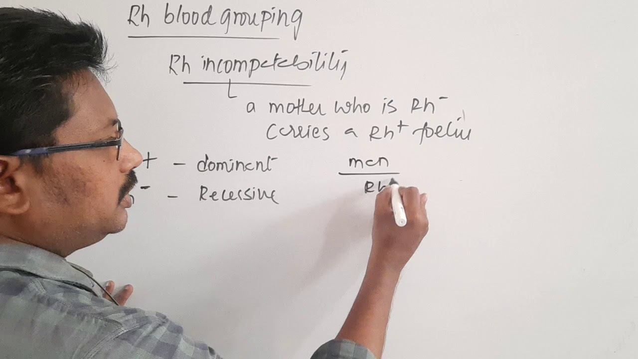 LECTURE-3 | BIOLOGY | BODY FLUIDS & CIRCULATION | BY RAJKUMAR SIR смотреть онлайн
