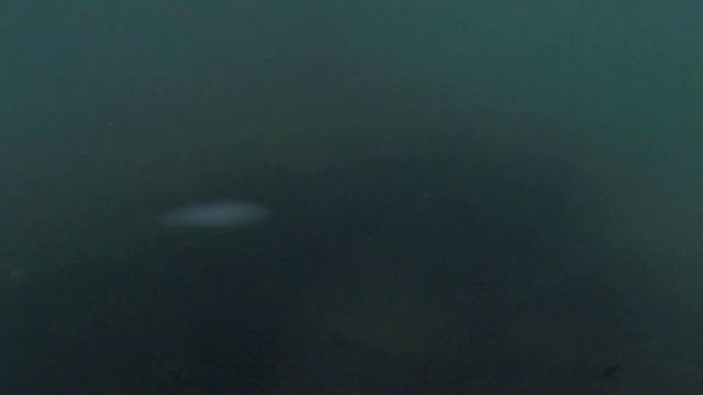 170803 2 смотреть онлайн