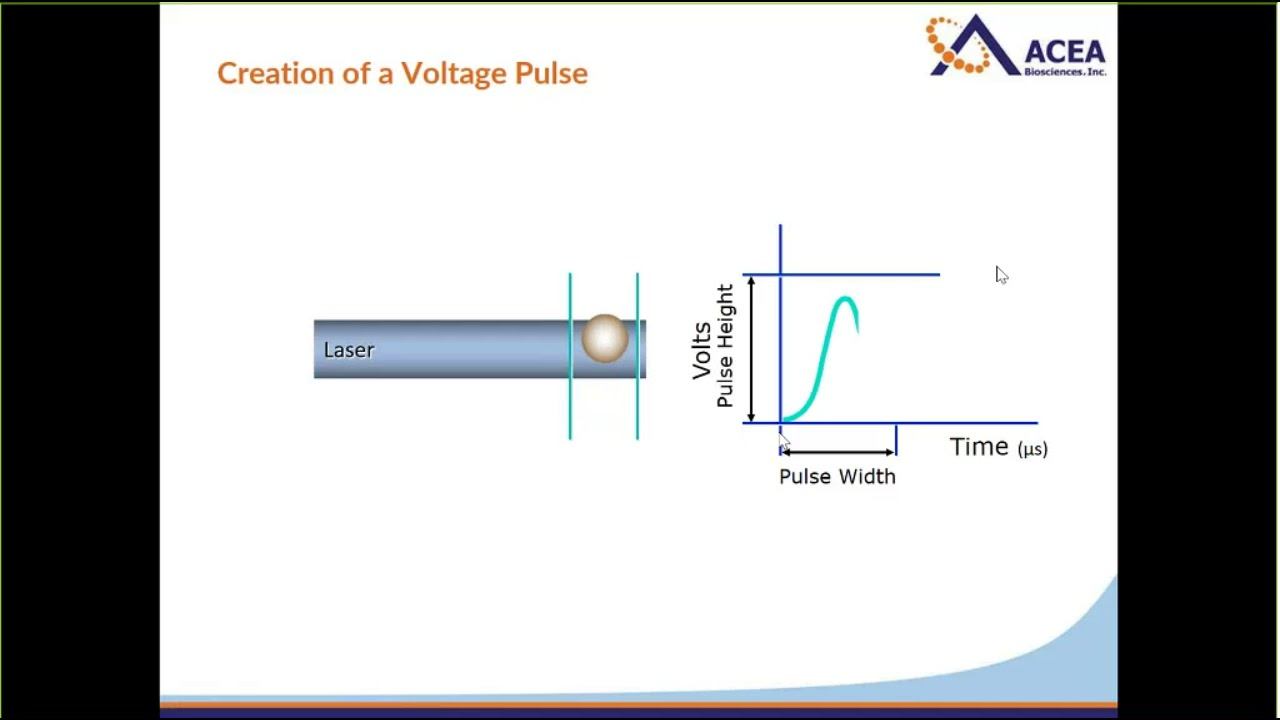Cell Cycle Analysis by Flow Cytometry (Webinar) смотреть онлайн