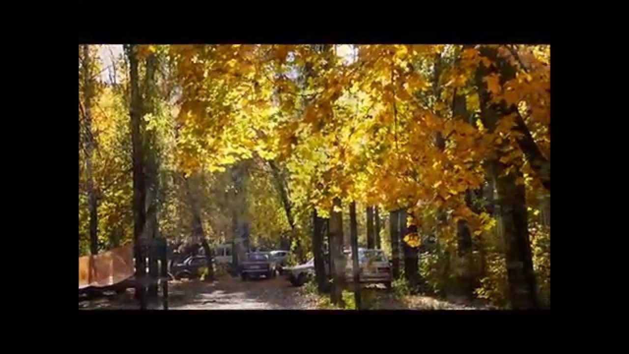 +Все краски осень. Воронеж 2014г. смотреть онлайн