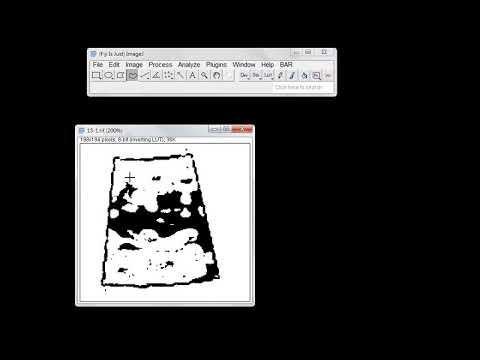imagej分離色頻後選取區域 смотреть онлайн
