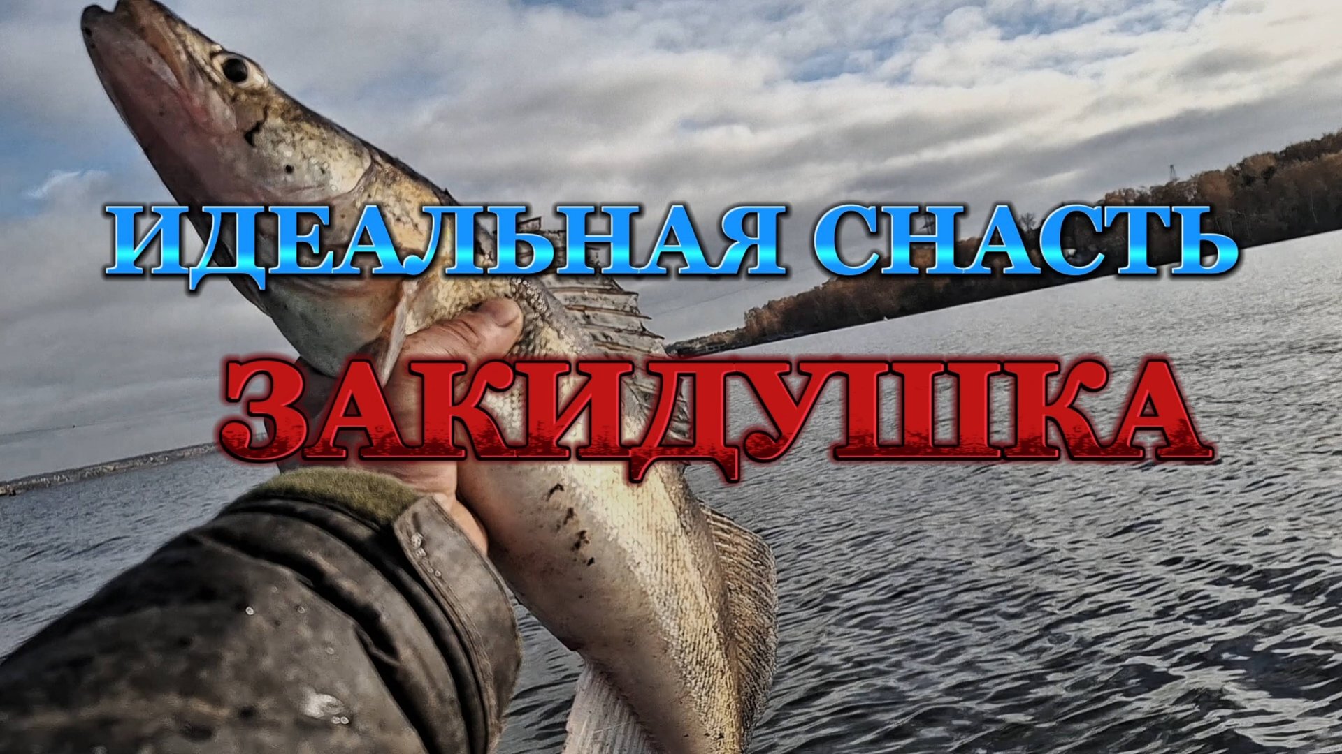 ЛОВЛЯ СУДАКА НА ДОНКУ с АМОРТИЗАТОРОМ (ЗАКИДУШКУ). смотреть онлайн