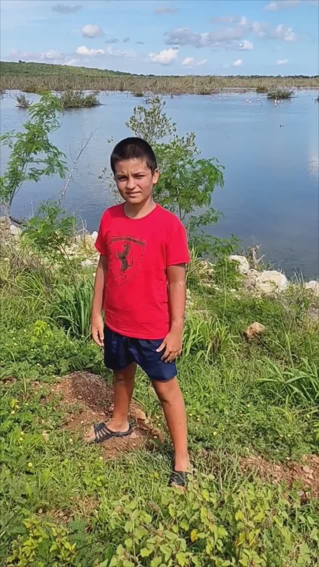 Красивые Фламинго, экскурсия в Морон, Кайо Коко. Куба за 57 тысяч рублей с перелетом @tutsi-dieti смотреть онлайн