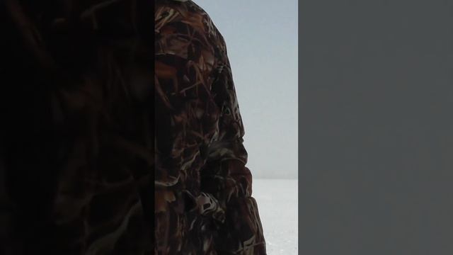 Что это за зверь  ?