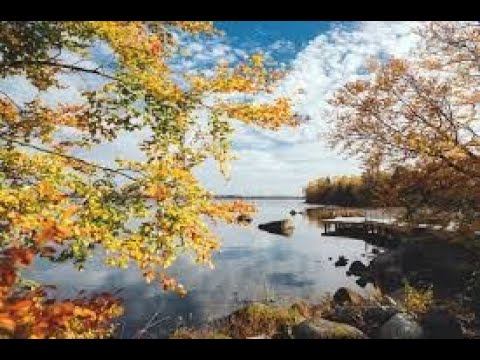 Октомври за хората с асцендент Дева 🍁🍂🍄♍ смотреть онлайн