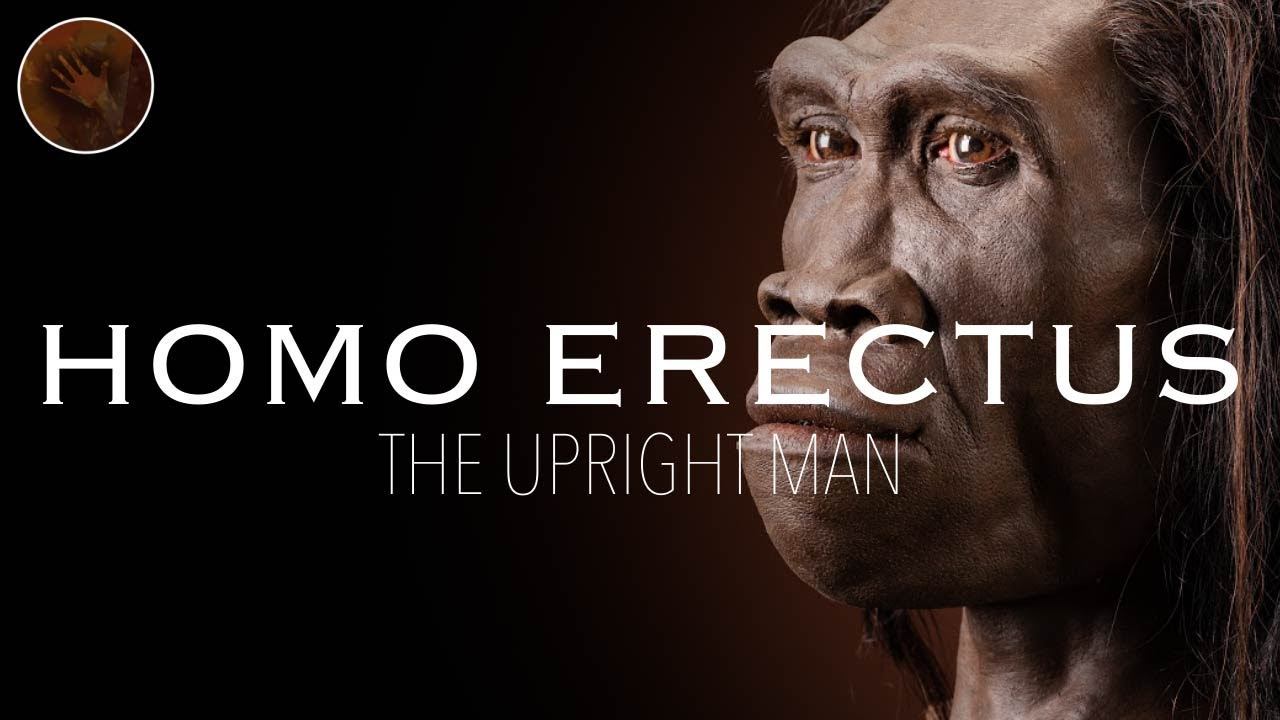Homo Erectus: 'The Upright Man' | Prehistoric Humans Documentary смотреть онлайн