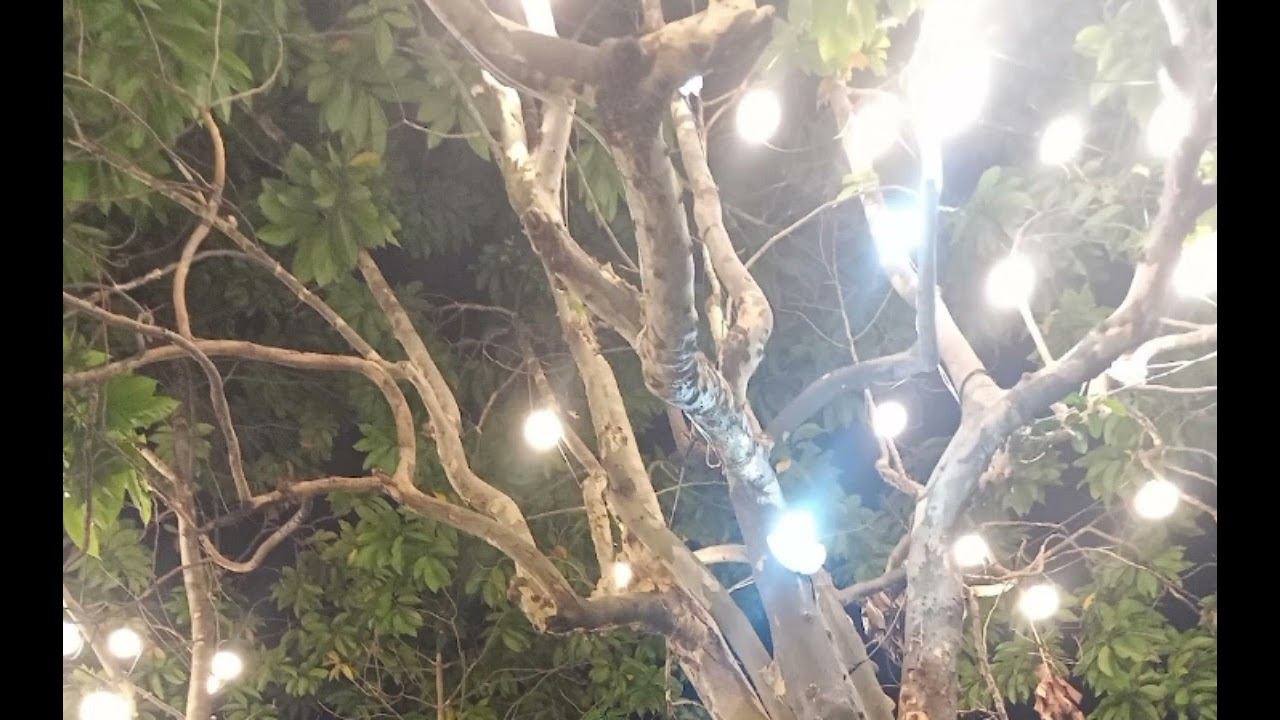 Adam Lambert - Velvet (Album) смотреть онлайн