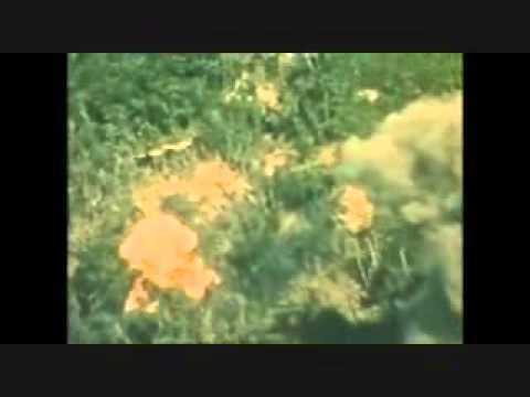 Bolt Thrower-Powder Burns(In Vietnam)