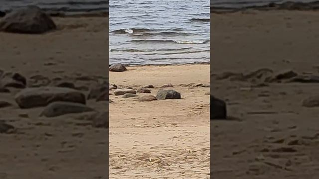 На финском заливе. смотреть онлайн