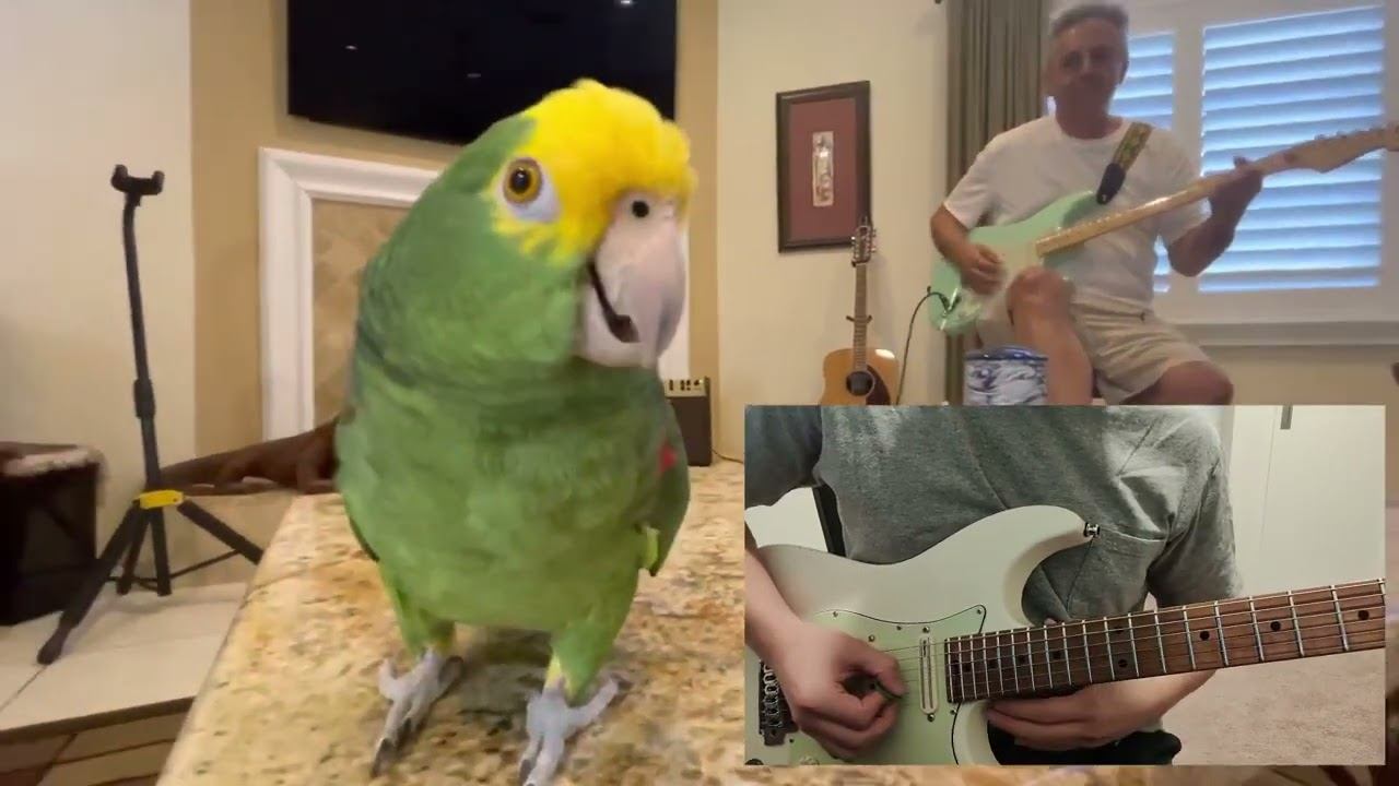 Bird Transcription (No Tab) смотреть онлайн