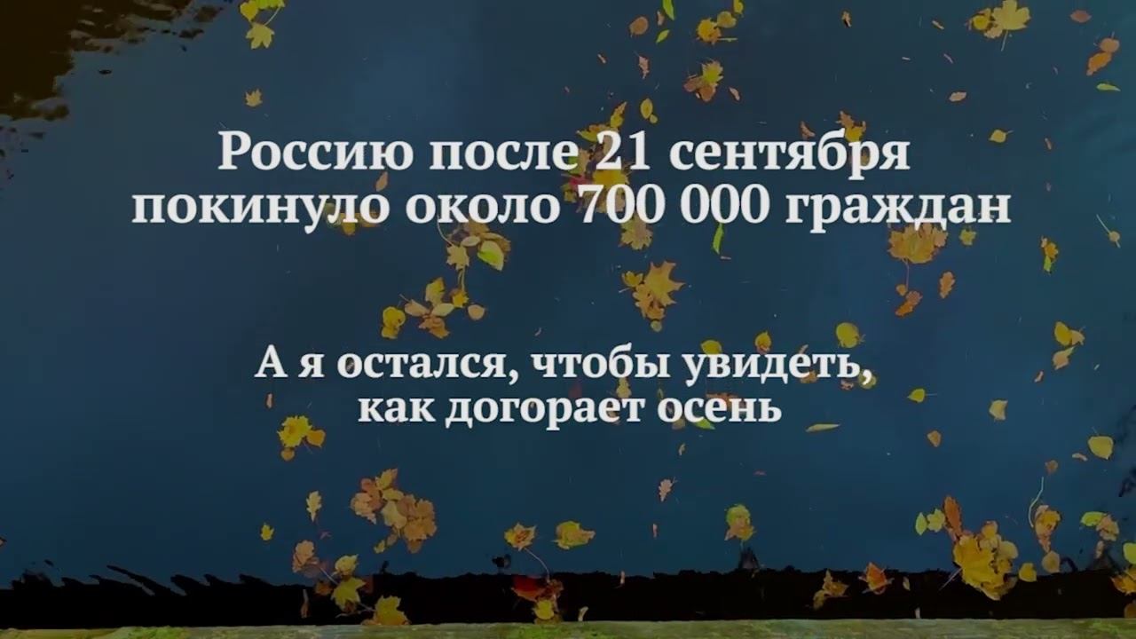 Хокку смотреть онлайн