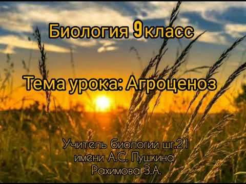 17 апреля 2020 г. смотреть онлайн
