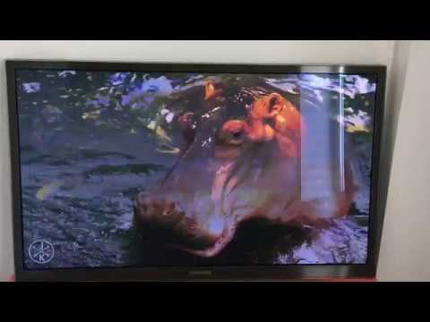 УЦЕНКА! Телевизор Samsung PS51D7005 \ 51 дюйм (7731) смотреть онлайн