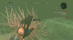 Водоросли Dying Light Дополнительное задание