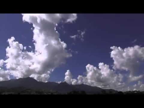 9 Hours Relax Music 365 смотреть онлайн