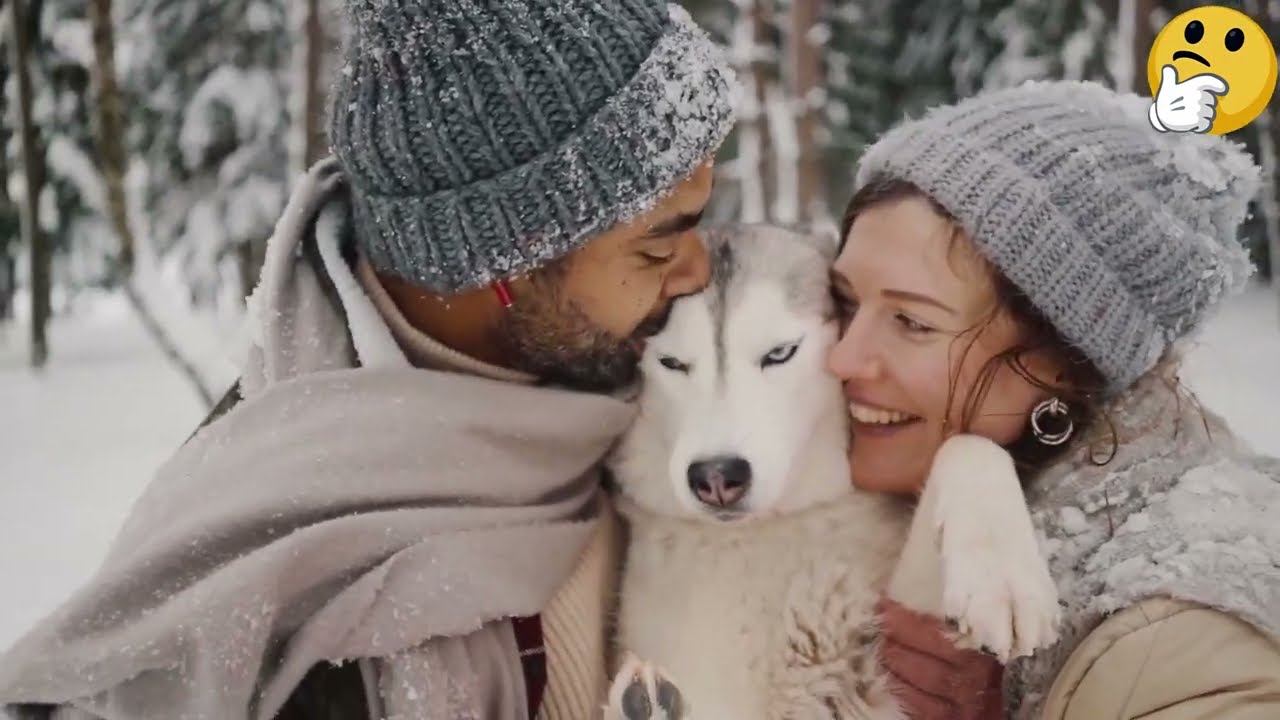 ✅ [Buyer's Guide] Best Thermal Underwear For The Money | Top 5 Best Thermal Underwear Review ✌️ смотреть онлайн