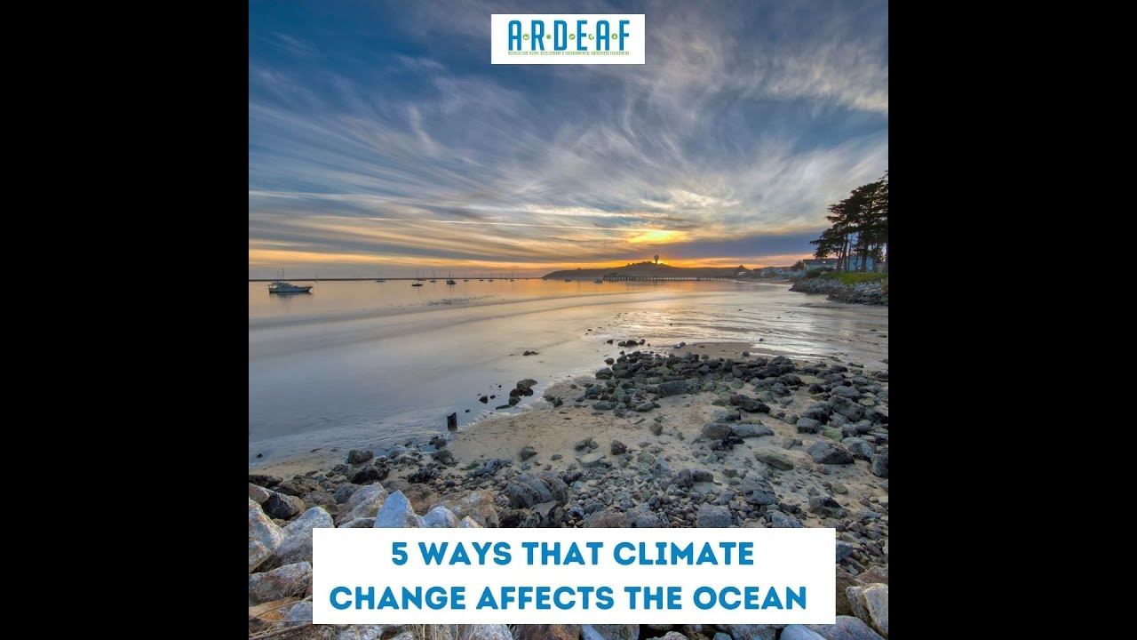 5 ways that climate change affects the ocean смотреть онлайн