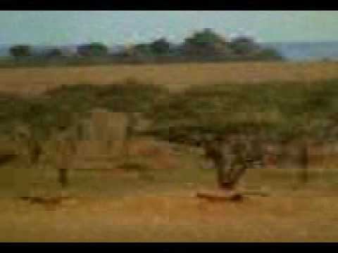Adel torke.mp4 смотреть онлайн