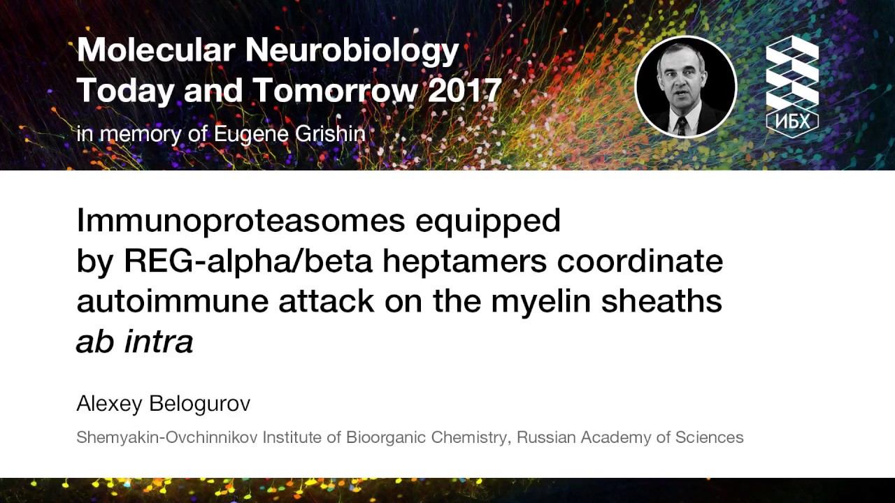 REG-alpha/beta heptamers coordinate autoimmune attack on the myelin sheaths ab intra смотреть онлайн