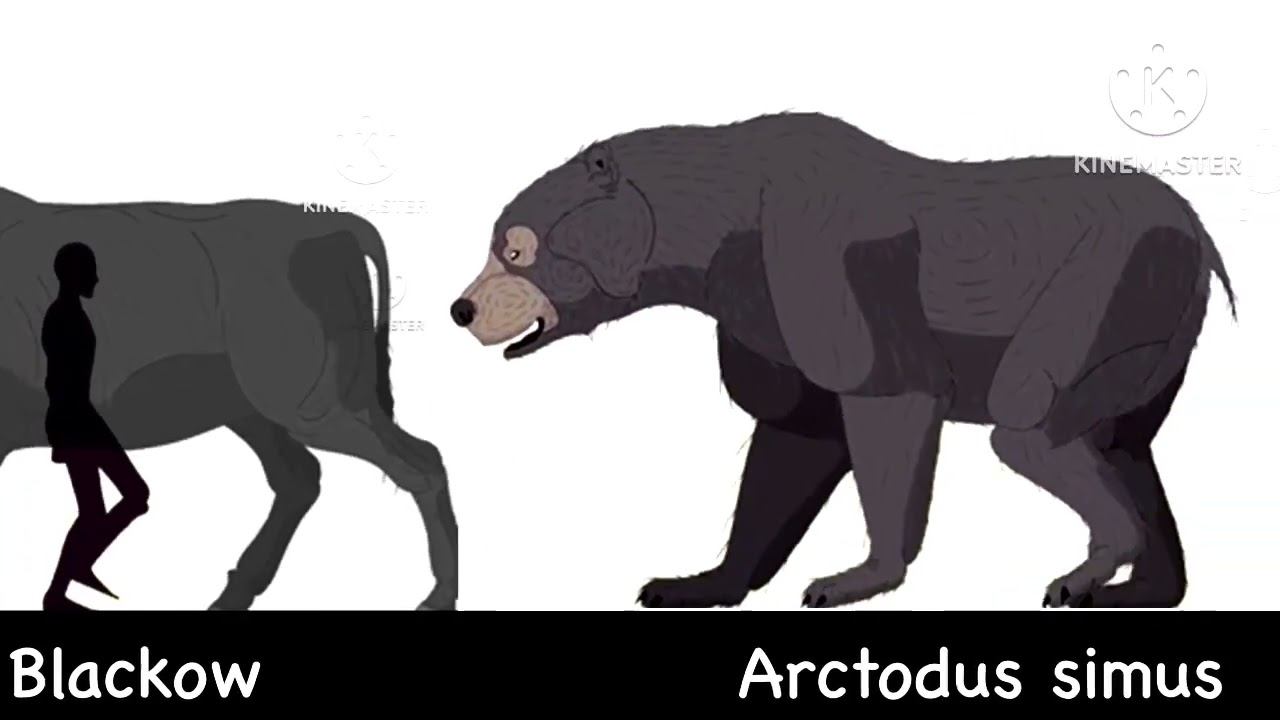 Animated size comparison (Random) 4￼ смотреть онлайн