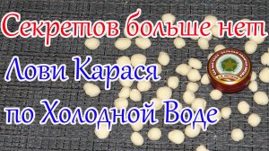 Насадка для рыбалки По Холодной воде Насадка на Карася