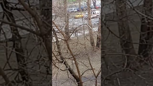Очень милый премилый Котёнок по имени Ева!!!!! смотреть онлайн