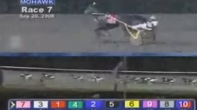 Maple Leaf Trot 2008 -Arch Madness смотреть онлайн