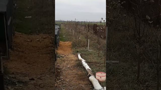 Эко проект"Зеленодольск" смотреть онлайн