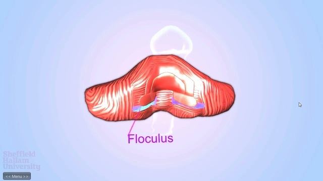 3D Brain смотреть онлайн