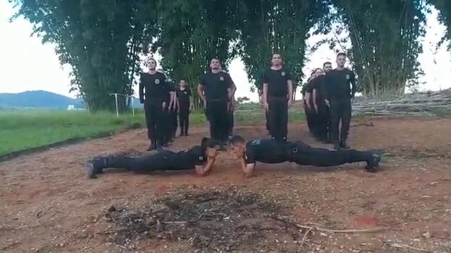 Curso de Formação Agente Prisional 07/02/2020. смотреть онлайн