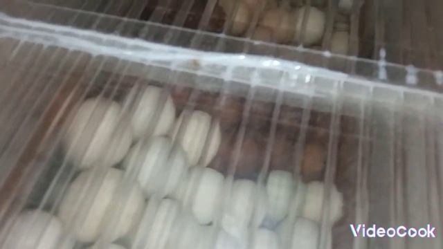 Кто вылупился из яиц от голошейки? Жду гусят! смотреть онлайн
