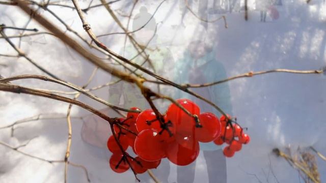 ЗИМНИЕ ЗАРИСОВКИ - 2 смотреть онлайн