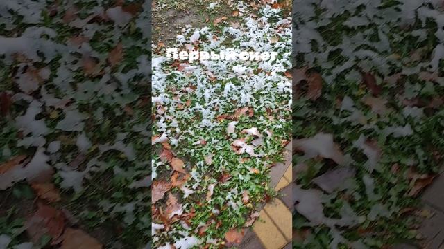 Выпал первый снег и сразу растаял. смотреть онлайн