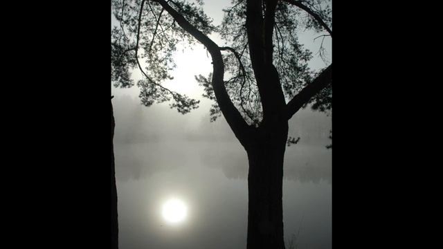 Electric Storm (feat Anna M) смотреть онлайн