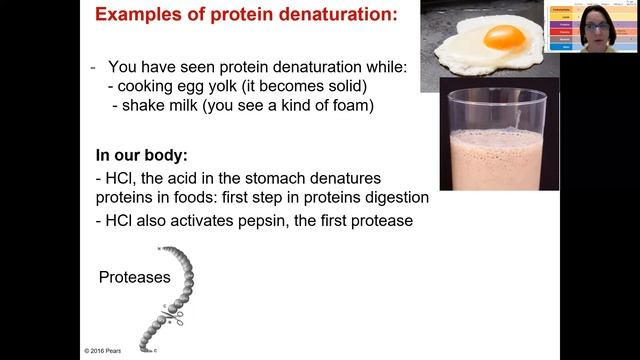 Macronutrients 101: Know Everything about Proteins #nutritioncourse смотреть онлайн