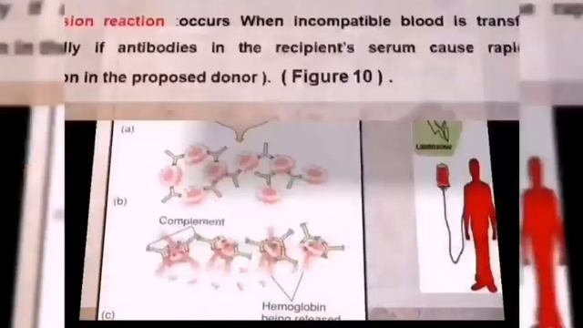 Genetics_ lec3 смотреть онлайн