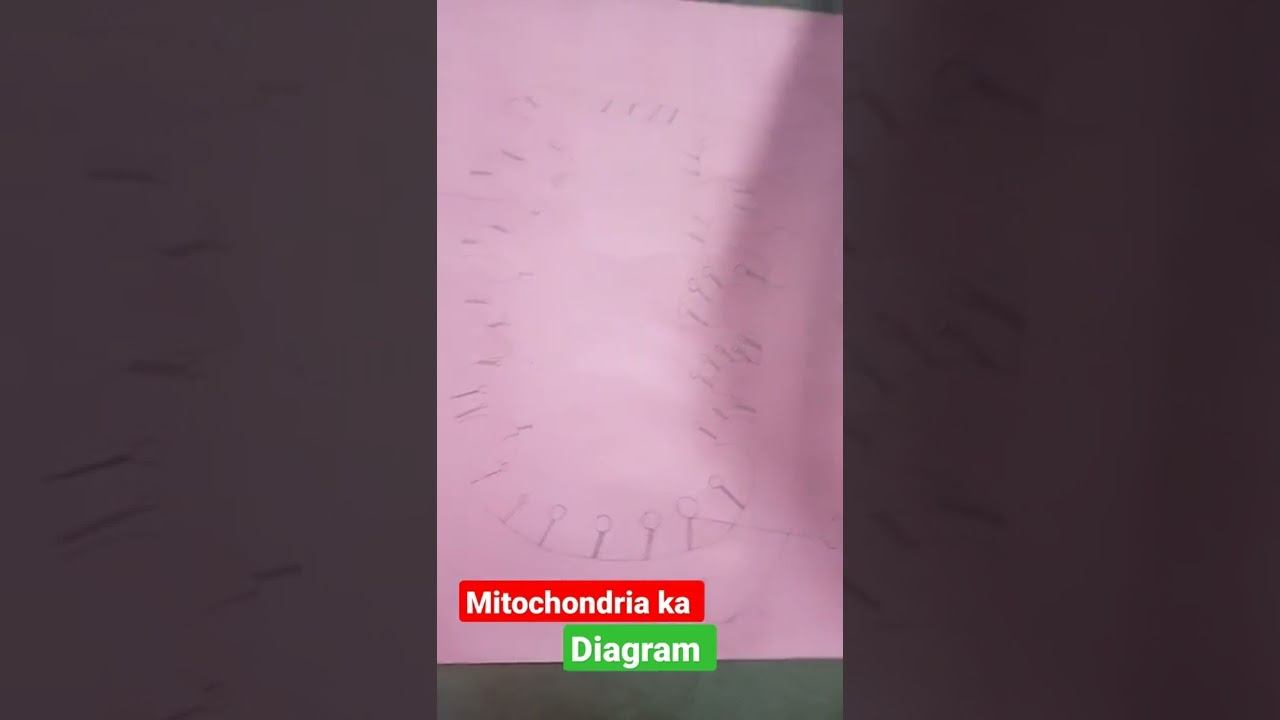 #mitochondria ka diagram #motivation biology Students #most IMPORTANT смотреть онлайн