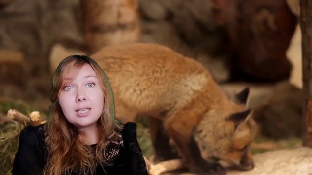 Э. Мошковская. Зоопарк смотреть онлайн