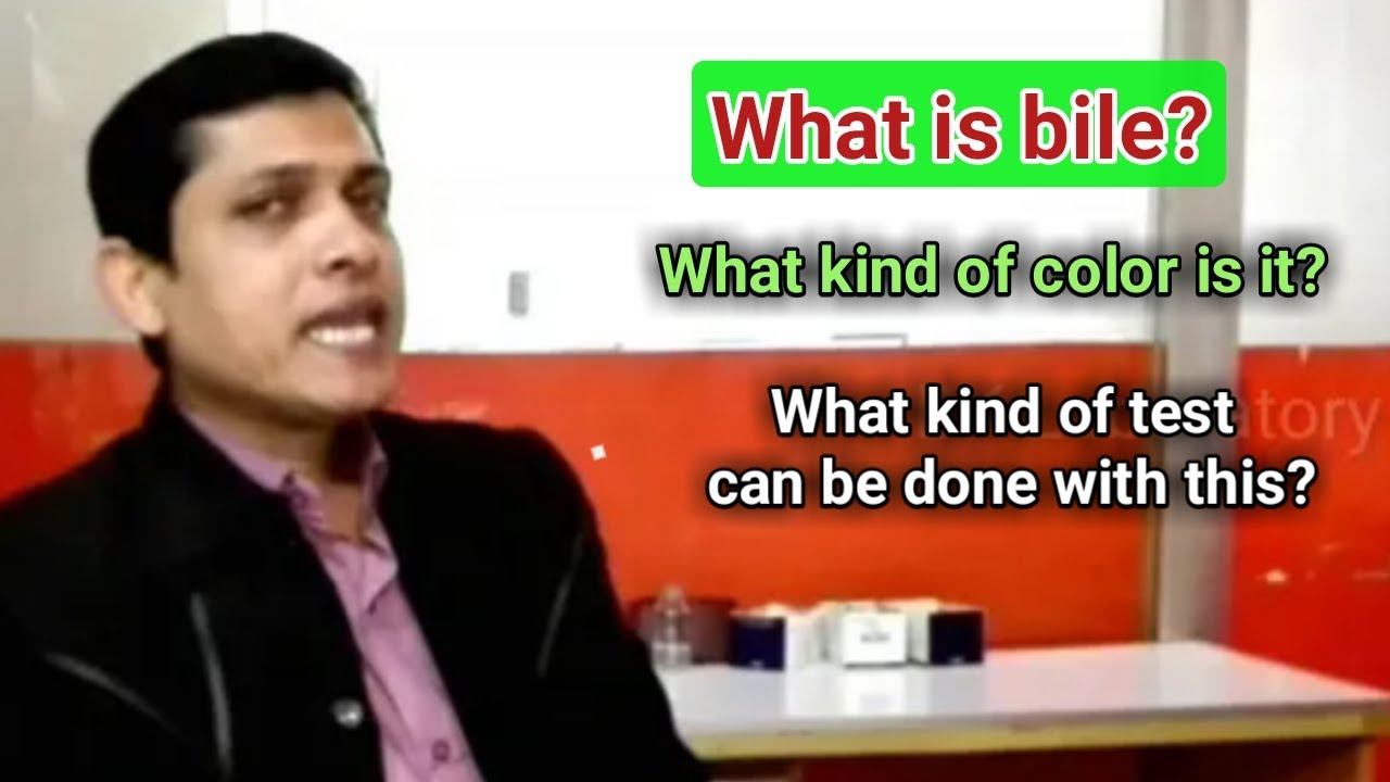 What is bile?
What kind of color is it?
What kind of test can be done with this? смотреть онлайн