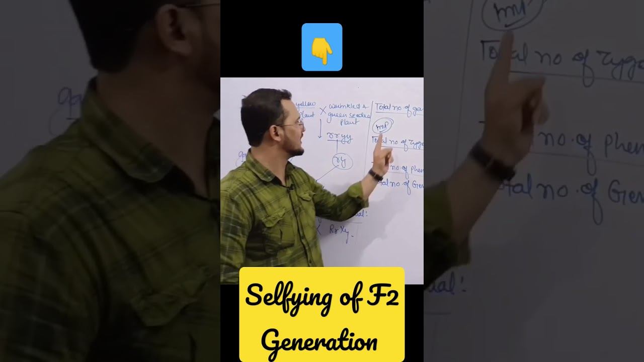 Gamete Formation By Qawsain Khan...🔥🔥🥳🥳🥳#genetics #class12 #ashortaday #scienceandfun #Qawsainkhan смотреть онлайн