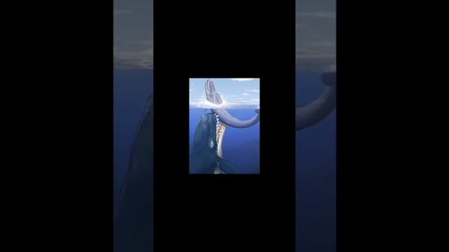 Evolution of sperm whale🐋 Livyatan (part1) смотреть онлайн