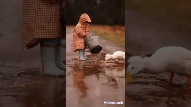 по адресу Русь смотреть онлайн