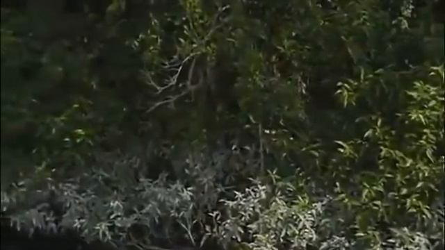 Индийский фильм 2021 смотреть онлайн