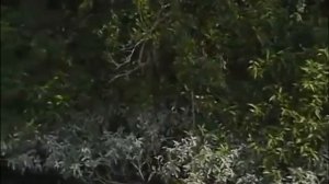 Индийский фильм 2021