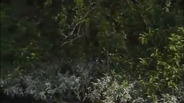 Индийский фильм 2021