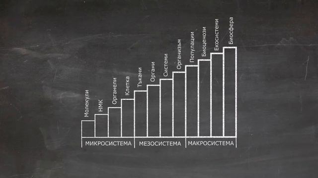 ПОДРОБНО РЕШЕНИЕ Матура по Биология 21 май 2021 - ВЪПРОС 1 смотреть онлайн