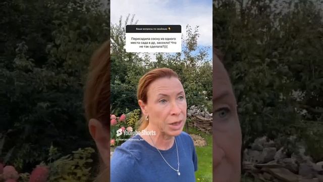 Про пересадку хвойных. смотреть онлайн