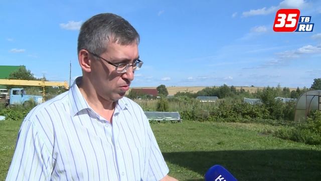 В 11 районах Вологодской области приступили к уборочной смотреть онлайн
