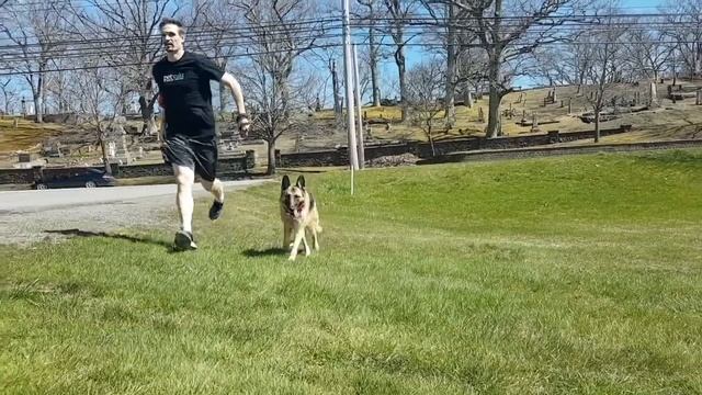 Pet Valu Virtual Walk for Dog Guides смотреть онлайн